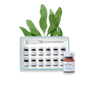 Dm.Cell 30% Glycolic Complex