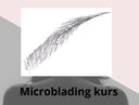 Microbladingmetoden kurs 1+1 dag inkl start kit