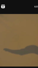 ONLINE COURSE in Korean microneedling BB Glow / Glass Skin.